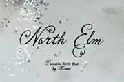 North Elm - Decorative Script Font, a Script Font by Mneme (Thumbnail 1 of 8)