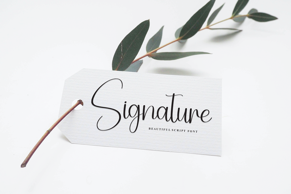 Freeday | Script Font, a Handwritten Font by Scratchones (Photo 2 of 9)