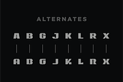 Brek-Bold Blocky Sans Serif Font, a Sans Serif Font by Ebad Designs (Thumbnail 3 of 9)
