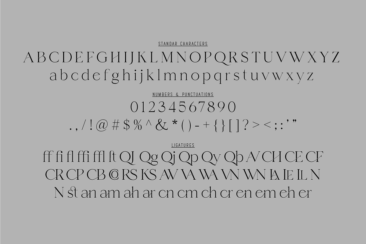 Channe, a Serif Font by BaronWNM (Photo 7 of 9)