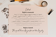 Popless script and serif font duo, a Serif Font by Ana's Fonts (Thumbnail 9 of 9)