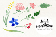 DIY Watercolor flowers. 190 elements, a Decorative Illustration by Olga Proz (Thumbnail 3 of 5)