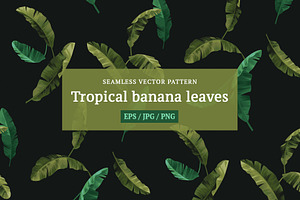 Tropical Banana Leaves. Vector.