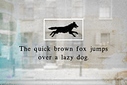 Tigerlily, a Serif Font by Woodcrest Design Co. (Thumbnail 3 of 4)