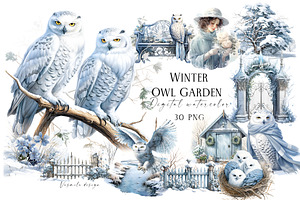 Winter Owl Garden