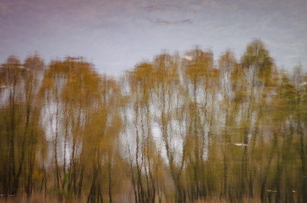 Landscape reflected in a forest autumn lake in retro style, unde, a Nature Photo by TanaCh
