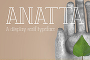 Anatta Display Serif Typeface, a Serif Font by PARAMAJAN (Thumbnail 1 of 11)