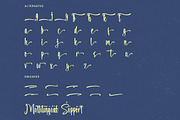 Setalking Bold Brush Font, a Script Font by stylishtype.co (Thumbnail 17 of 20)
