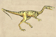 Dinosaurs Watercolor Pack Clipart #2, an Illustration by Doggy Days (Thumbnail 4 of 7)