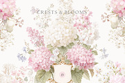 Vintage Floral Bundle, an Object Illustration by studioequinox (Thumbnail 15 of 65)
