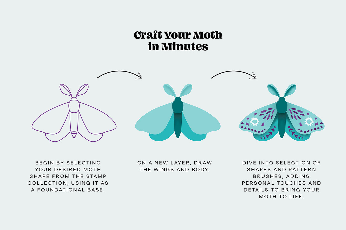 Moth Creator for Procreate, a Brush Add-On by Pencil Twist (Photo 7 of 11)