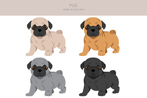 Pug Clipart