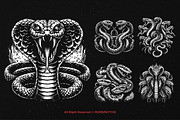 10 Bundle Dark Art Viper Snakes, an Illustration by Morspective (Thumbnail 5 of 7)