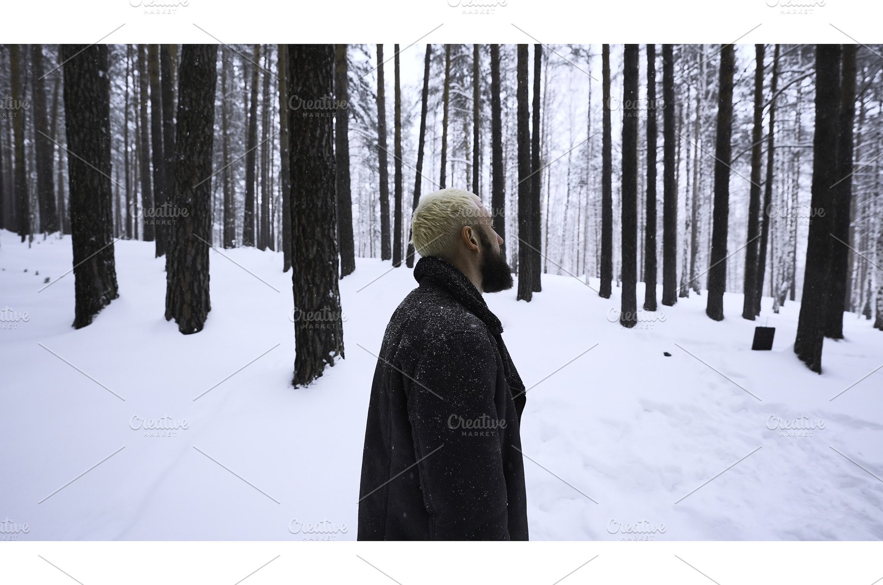 Man lost in winter forest. Media, a Nature Photo by Media Whale Stock