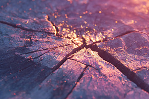 Cracked dark wood reveals intricate textures in warm light, a Background Photo by AlyaAnd