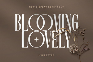 Hypertype : Elegant Serif Display