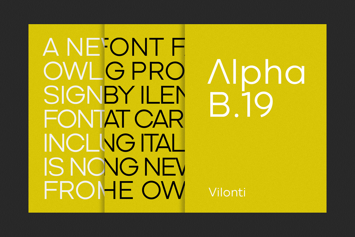 Vilonti, a Sans Serif Font by OWL KING (Photo 6 of 10)