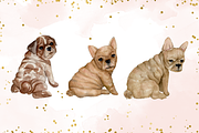 Bulldog Clipart, a Graphic by TigerlilyDesignCo (Thumbnail 2 of 2)