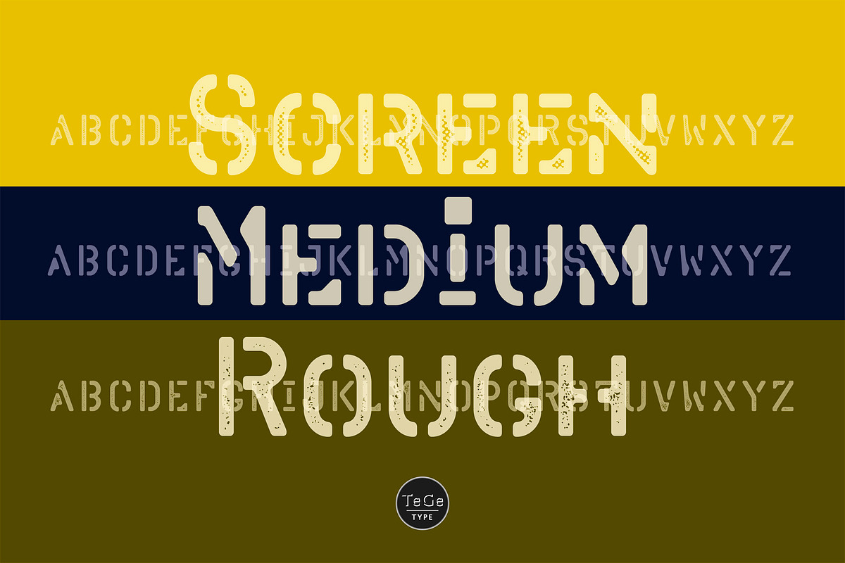 C Elle F, a Sans Serif Font by TeGeType foundry (Photo 2 of 7)