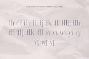 Gloriav, a Serif Font by Glyphofik x GudPap (Thumbnail 7 of 9)