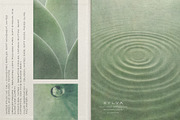 Sylva Textured Botanical Backgrounds, a Background Graphic by alonahaidash (Thumbnail 6 of 15)