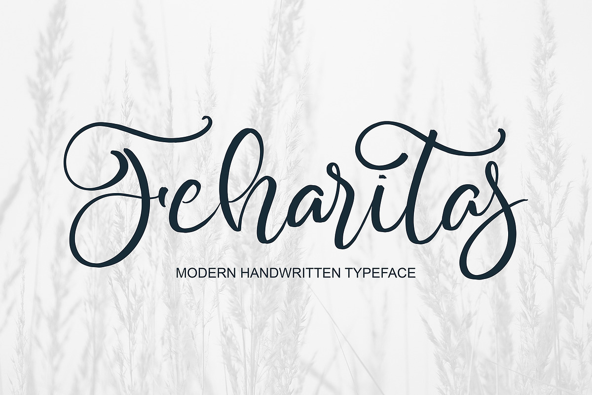 Feharitas, a Script Font by pineungtype (Photo 1 of 8)