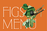 West and Olives (6 fonts + variable), a Font by The Old Type Foundry (Thumbnail 5 of 12)