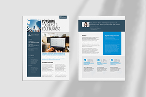 Case Study Flyer Template