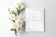 Elegant Rose Collection Vol 1, a Decorative Illustration by AW Studios (Thumbnail 8 of 10)