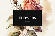Watercolor Flowers Collection, a Decorative Illustration by Cam' Studio (Thumbnail 1 of 9)
