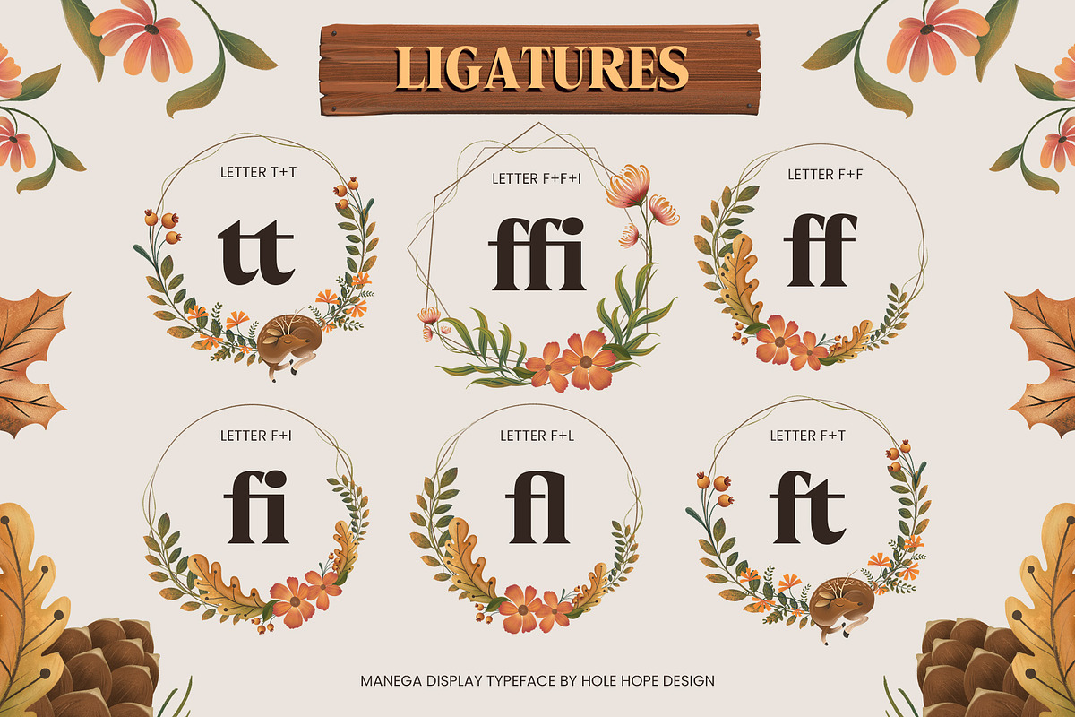Manega | Vintage Serif Display Font, a Serif Font by Hole Hope Design (Photo 6 of 10)