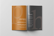 Branding Style Guide Template, a Magazine Template by Khara Plicanic (Thumbnail 9 of 10)