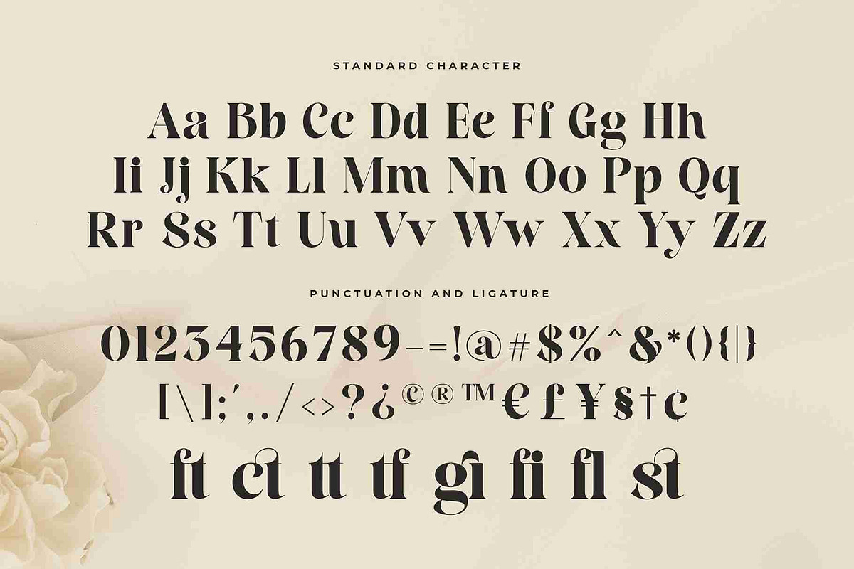 Straight Betty Modern Serif Font, a Serif Font by Vampstudio (Photo 13 of 13)