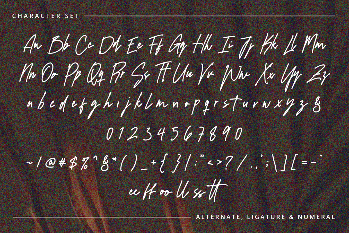 Waffelli - Monoline Signature, a Handwritten Font by tebaltipislab (Photo 2 of 10)