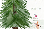 Pine Tree Clipart, Watercolor 109, an Illustration by Drawberx (Thumbnail 2 of 9)