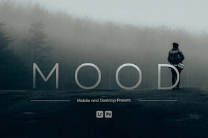 Mood Presets for Lightroom, a Preset Add-On by Hubzway