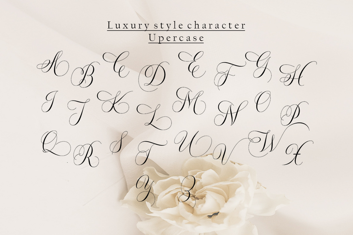 Zimbara, a Script Font by Slex Studio (Photo 9 of 11)
