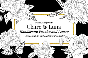 Claire & Luna - Handdrawn Peonies