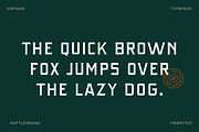 Rattlesnake - Vintage Serif Font, a Serif Font by Creative Type (Thumbnail 5 of 13)