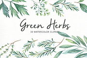 Green Herbs Watercolor clipart, a Food Illustration by everysunsun (Thumbnail 1 of 5)