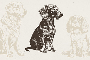 215 Dog Illustrations