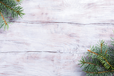 Christmas background with fir tree containing christmas, background, and above, a Holiday Photo by Iryna Melnyk Photography