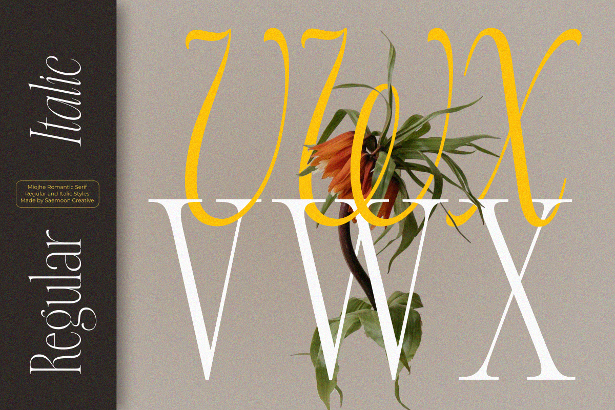 Miojhe, a Serif Font by saemoon creative (Photo 5 of 15)