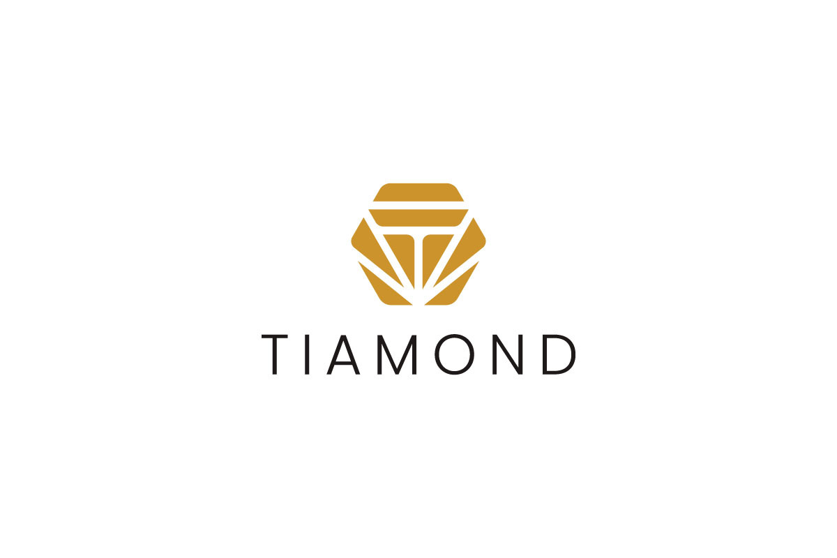 Luxury T Logo Template for Jewelry preview 5