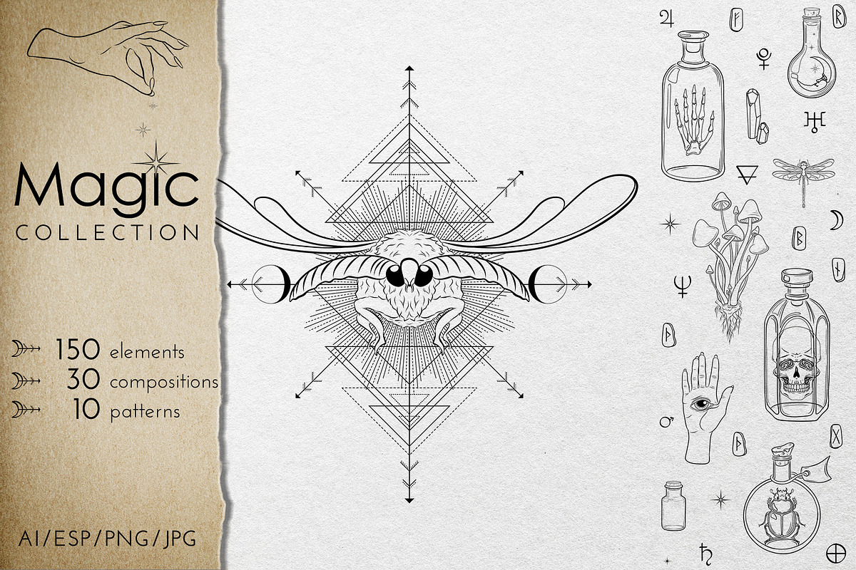 MAGIC collection - Vector ClipArt, an Animal Illustration by Evgenia Pichkur (Photo 1 of 12)