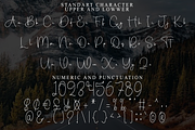 Smooth Valentine, a Handwritten Font by FreshTypeINK (Thumbnail 7 of 8)
