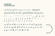Marina Modern Handwriting Font, a Script Font by TYPEHEIST (Thumbnail 5 of 9)