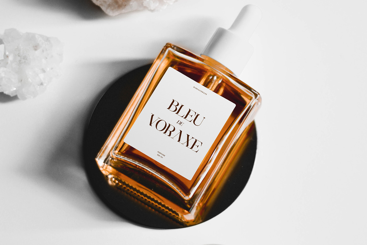 Ginka Voraxe – Modern Stylish Serif, a Serif Font by Mahesans Co (Photo 11 of 11)