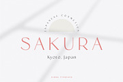 Siena Typeface, a Sans Serif Font by Ivan Rosenberg (Thumbnail 5 of 16)