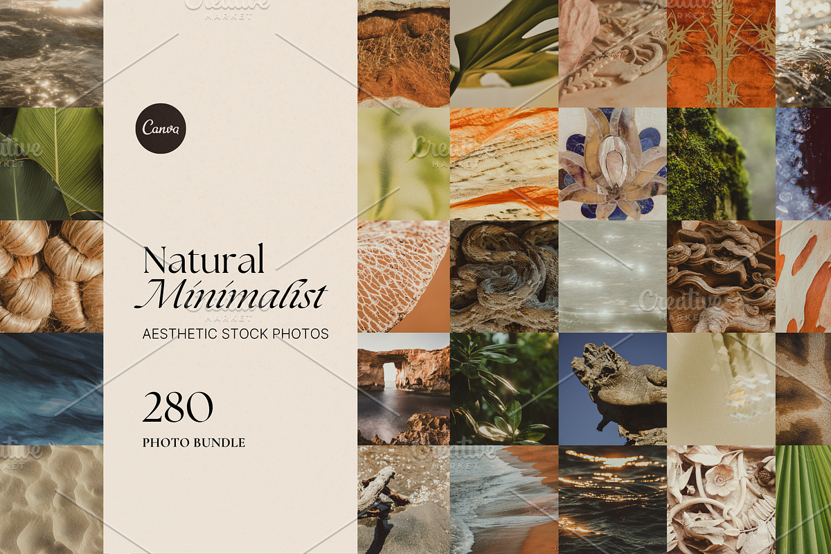 Natural Minimalist Photo Bundle, a Nature Photo by The Flossy Finch (Photo 1 of 15)